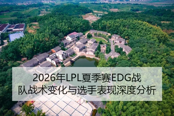 2026年LPL夏季赛EDG战队战术变化与选手表现深度分析