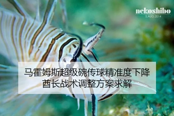 ma-huo-mu-si-chao-ji-wan-chuan-qiu-jing-zhun-du-xia-jiang-qiu-zhang-zhan-shu-tiao-zheng-fang-an-qiu-jie-2-905.jpg