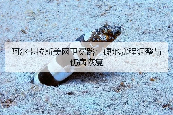 阿尔卡拉斯美网卫冕路：硬地赛程调整与伤病恢复